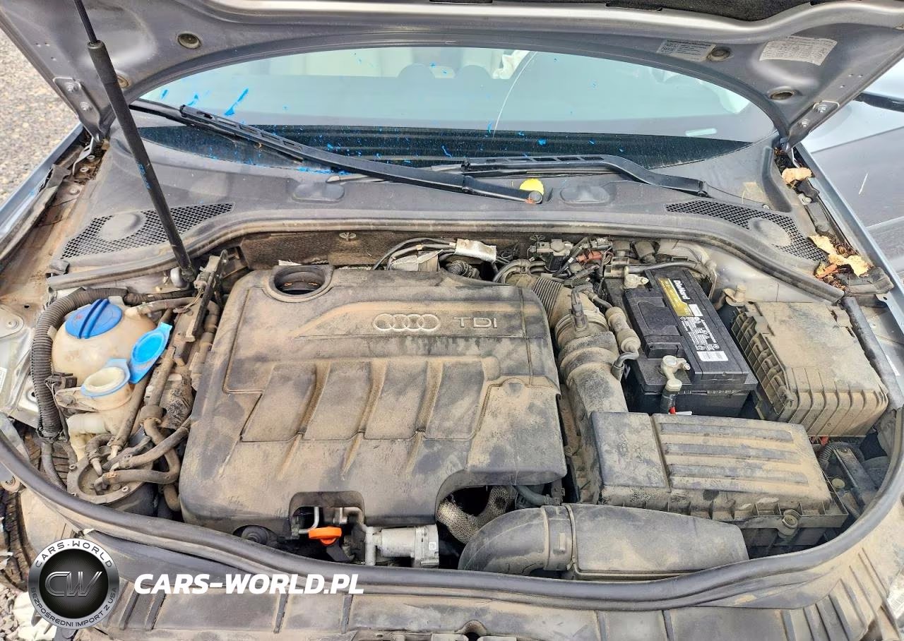 2011 Audi A3 Premium Plus VIN:WAUKJAFM0BA031720 - 11