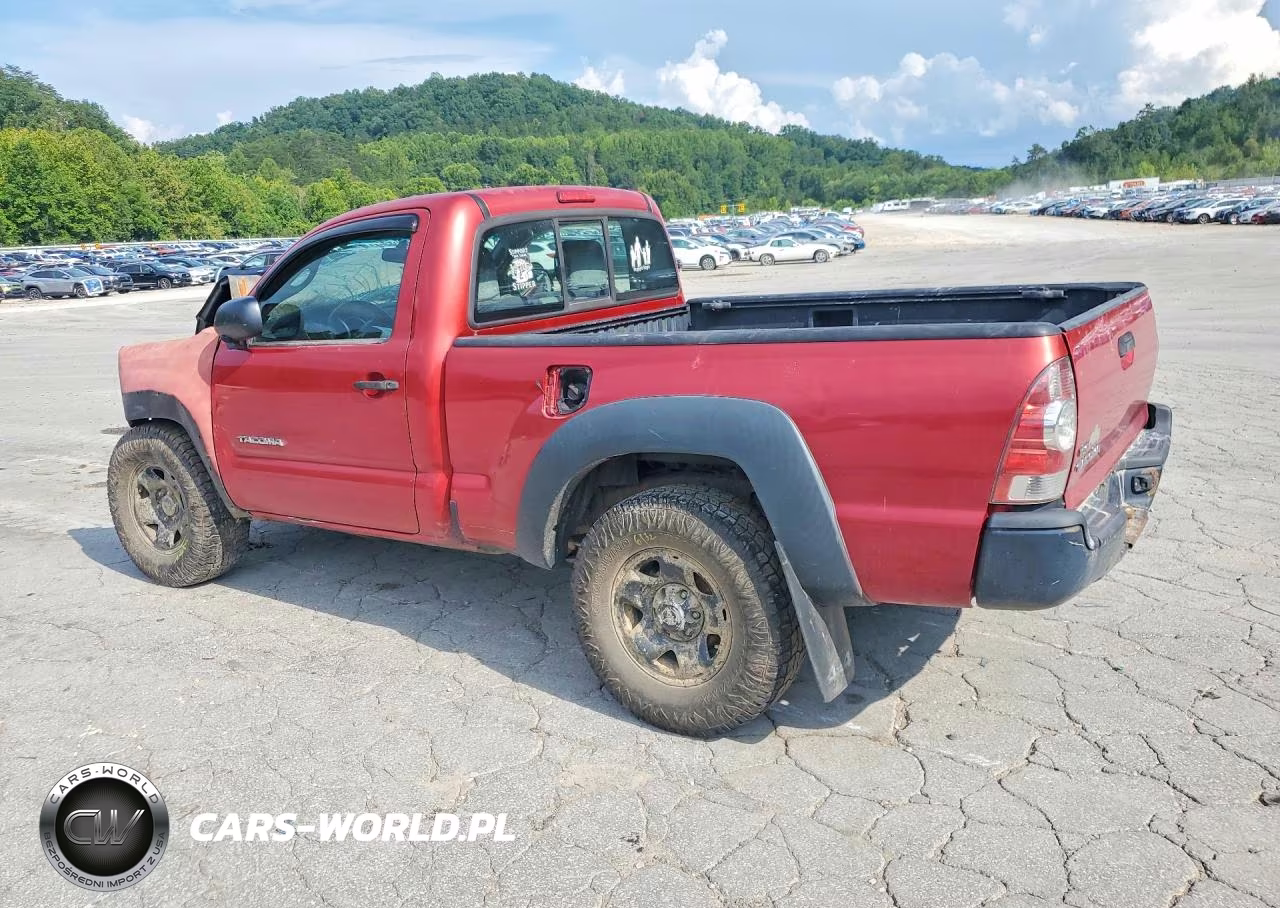 2009 Toyota Tacoma Base VIN:5TEPX42N09Z639115 - 2