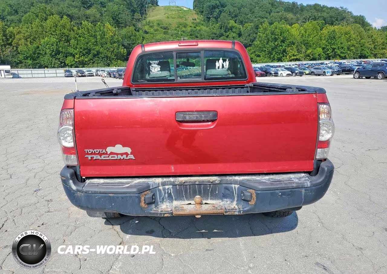 2009 Toyota Tacoma Base VIN:5TEPX42N09Z639115 - 6