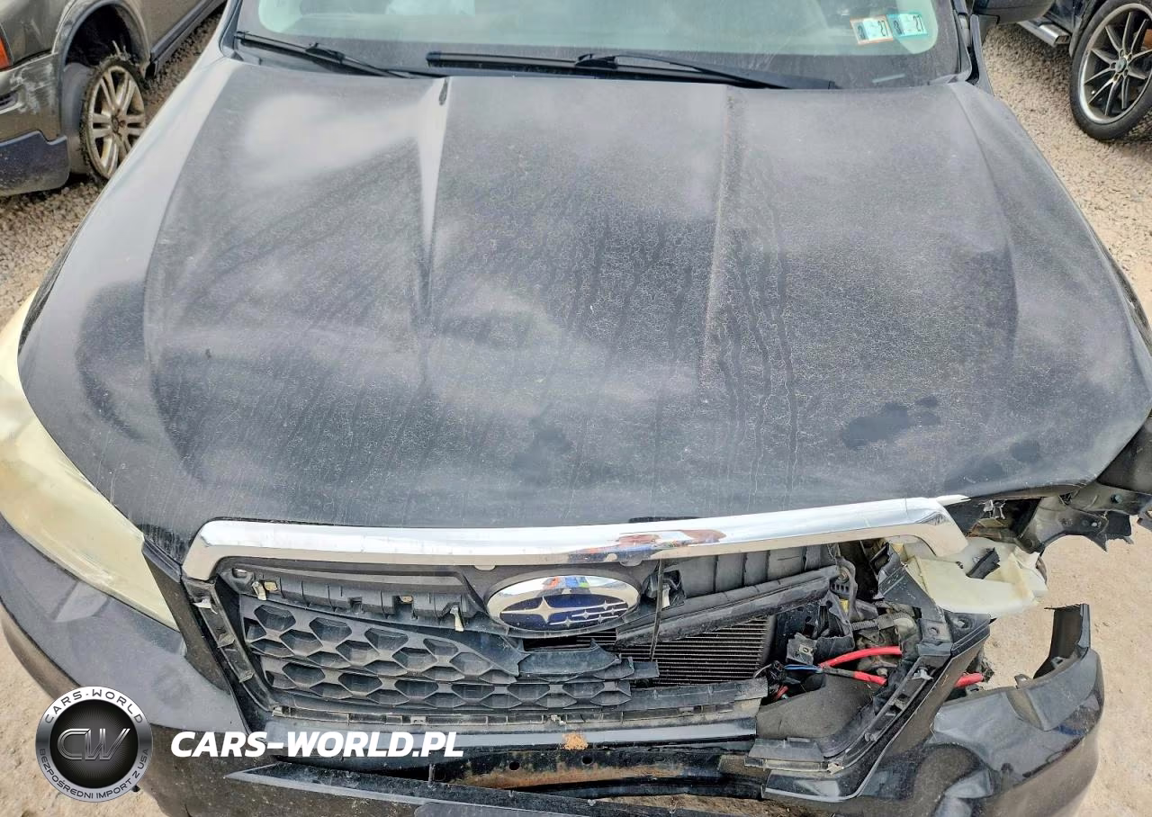 2015 Subaru Forester 2.5I Premium VIN:JF2SJADC8FH550882 - 12