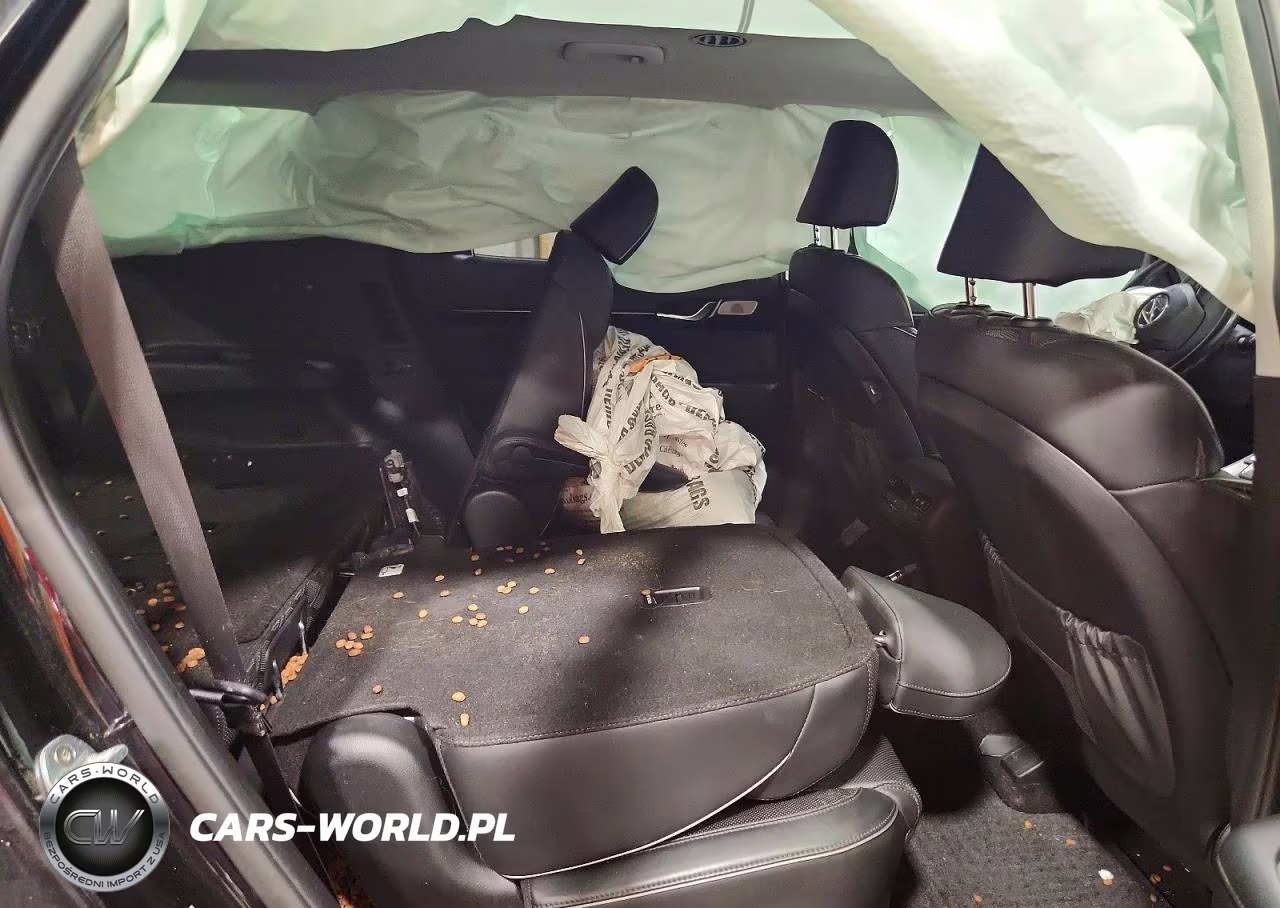2021 Hyundai Palisade Limited VIN:KM8R5DHE0MU307405 - 10