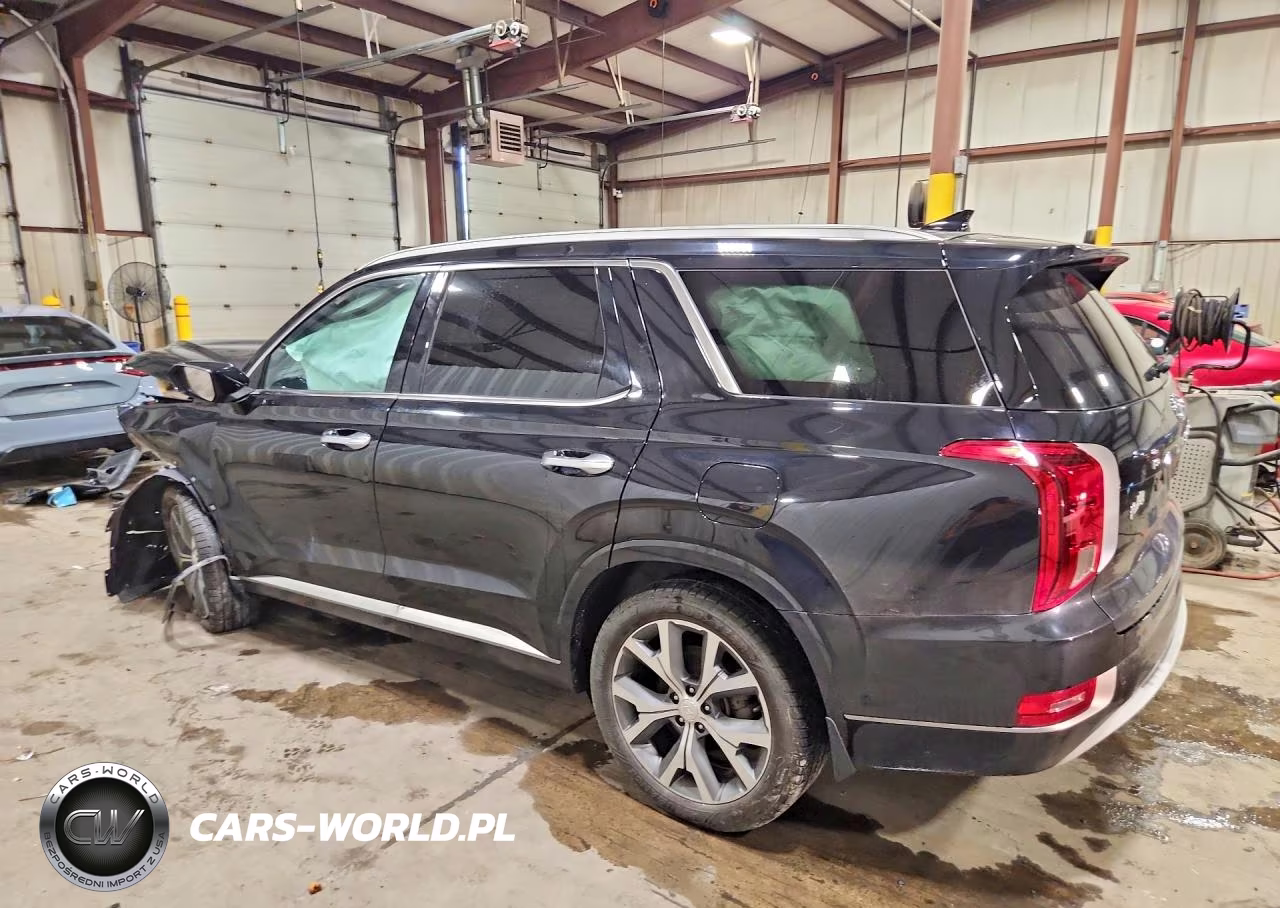 2021 Hyundai Palisade Limited VIN:KM8R5DHE0MU307405 - 2