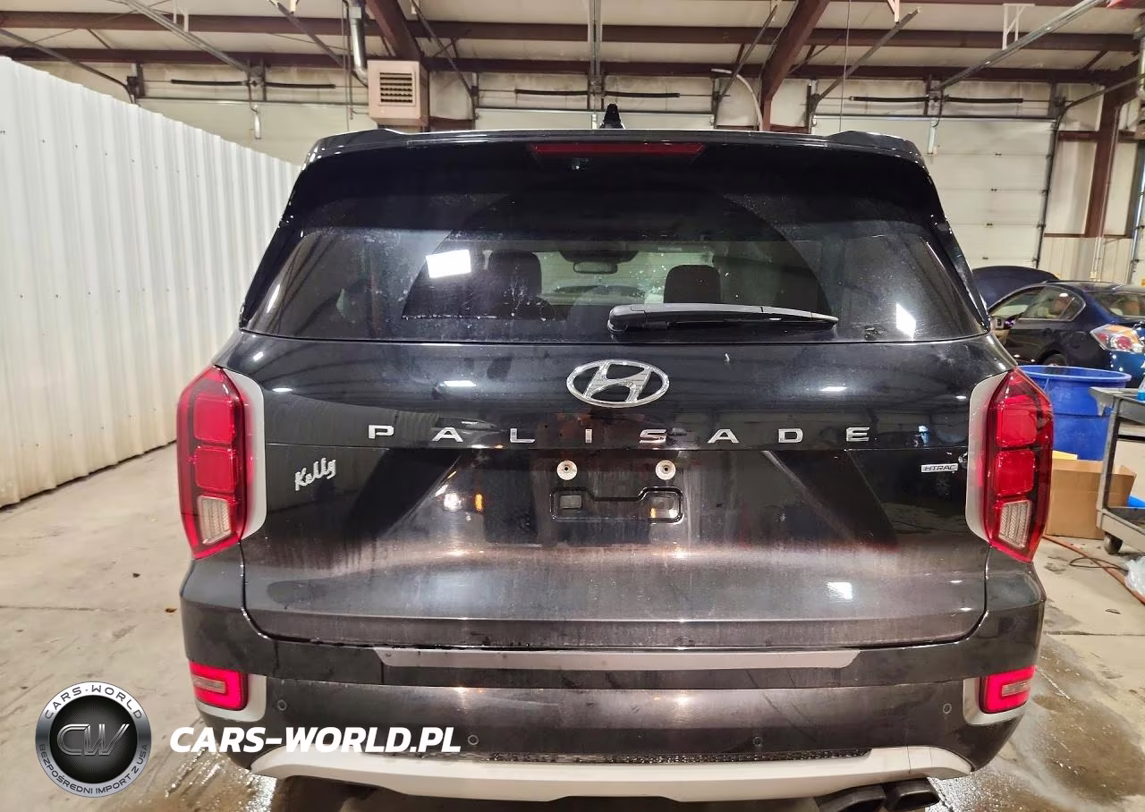 2021 Hyundai Palisade Limited VIN:KM8R5DHE0MU307405 - 6