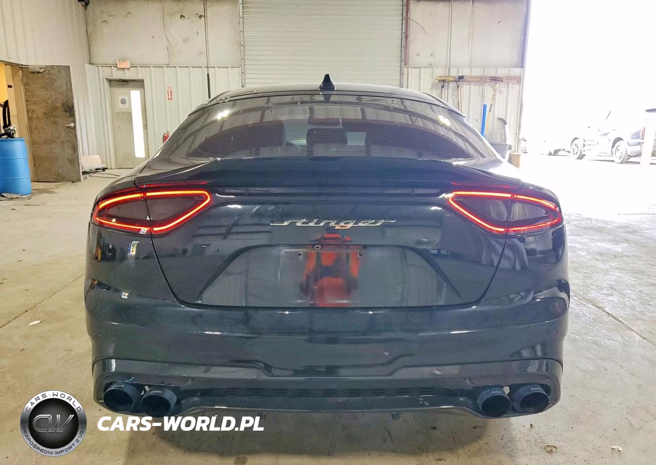 2018 Kia Stinger Gt2 VIN:KNAE55LC1J6040285 - 6