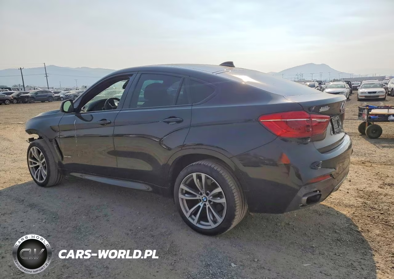 2017 BMW X6 xDrive50I VIN:5UXKU6C3XH0W38773 - 2