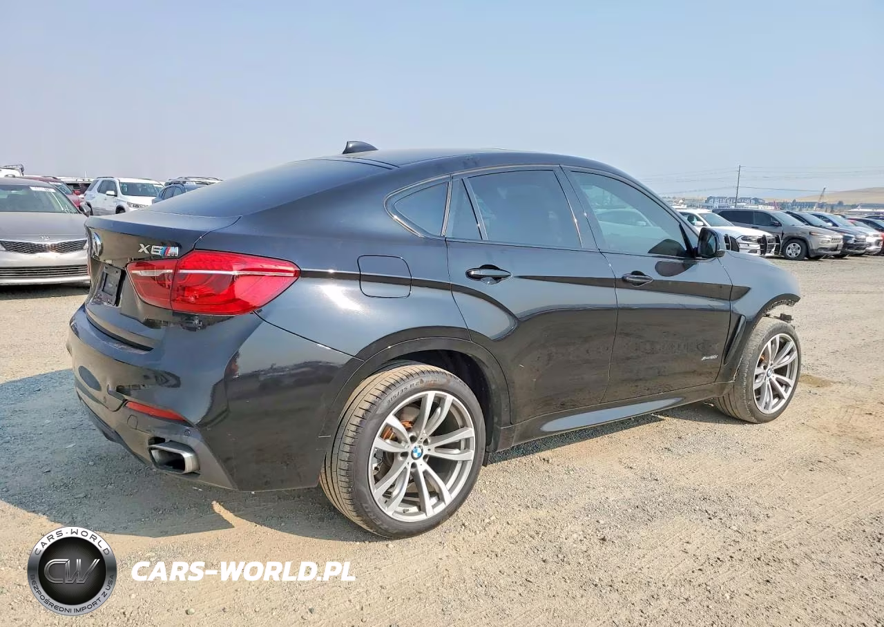 2017 BMW X6 xDrive50I VIN:5UXKU6C3XH0W38773 - 3
