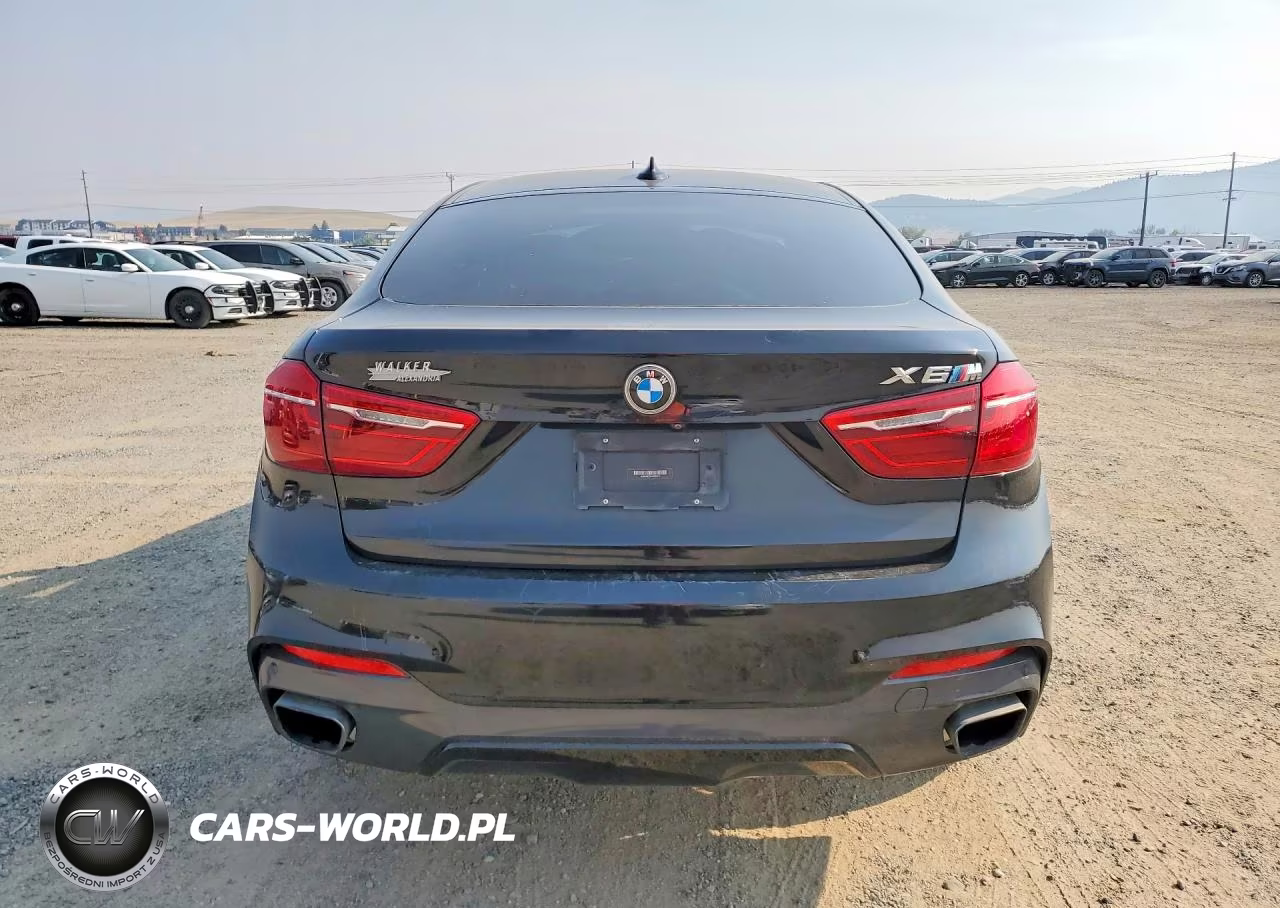 2017 BMW X6 xDrive50I VIN:5UXKU6C3XH0W38773 - 6