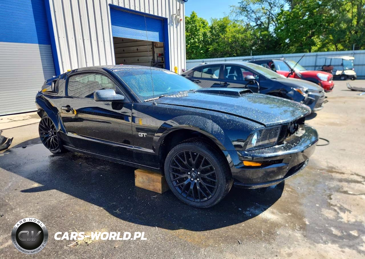 2006 Ford Mustang Gt VIN:1ZVHT82H065261732 - 4
