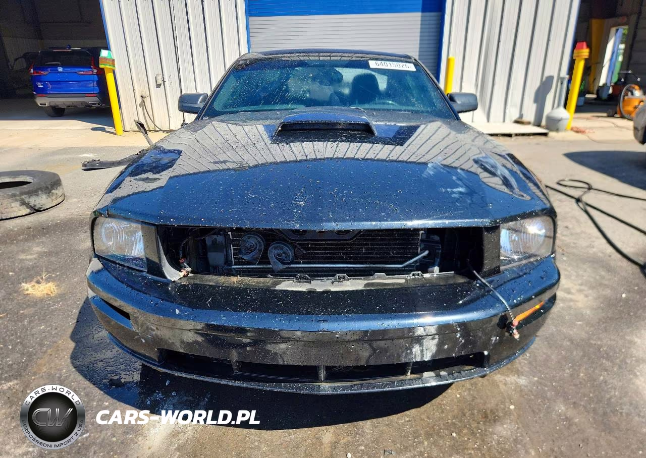 2006 Ford Mustang Gt VIN:1ZVHT82H065261732 - 5