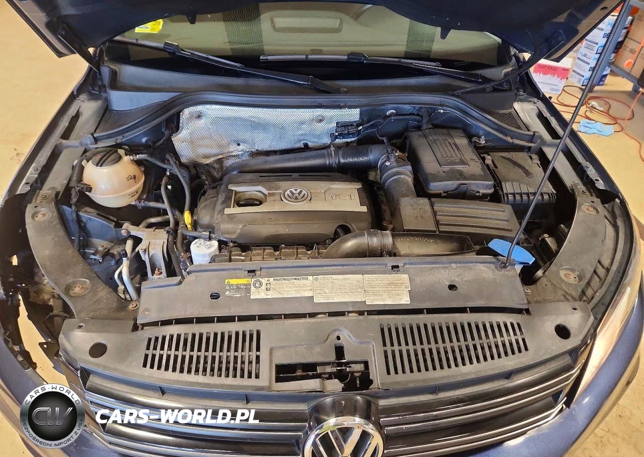 2014 Volkswagen Tiguan S VIN:WVGBV3AX6EW555476 - 12