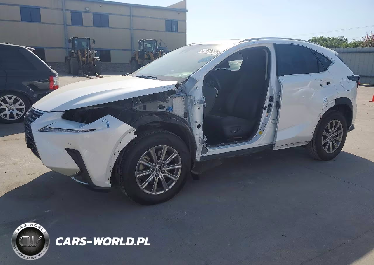 2019 Lexus Nx 300 Base VIN:JTJYARBZ5K2131462 - 1