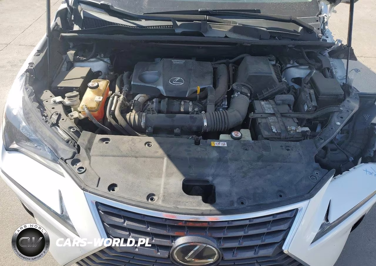 2019 Lexus Nx 300 Base VIN:JTJYARBZ5K2131462 - 11