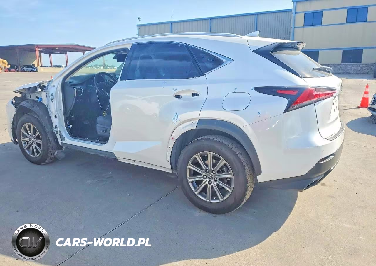 2019 Lexus Nx 300 Base VIN:JTJYARBZ5K2131462 - 2