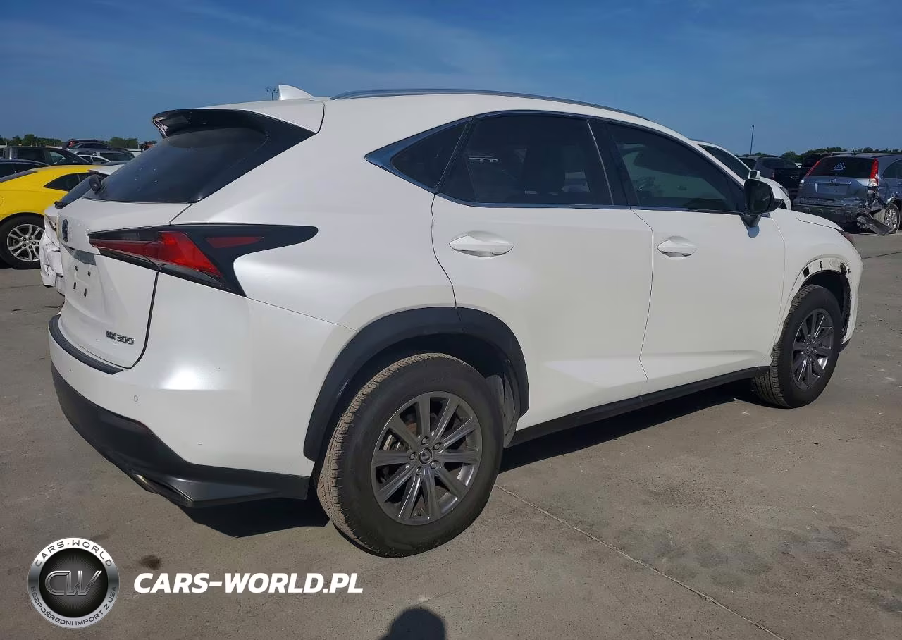 2019 Lexus Nx 300 Base VIN:JTJYARBZ5K2131462 - 3