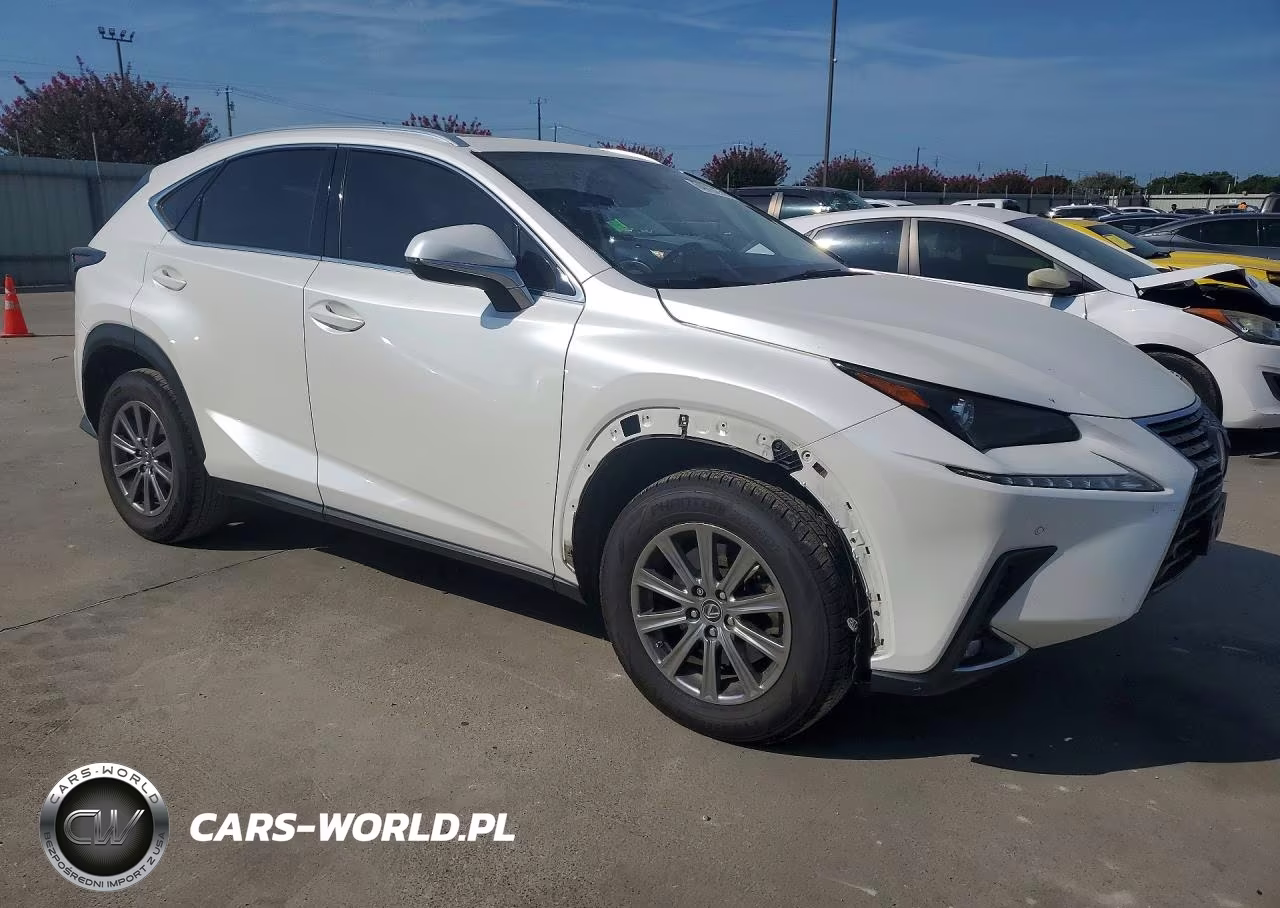 2019 Lexus Nx 300 Base VIN:JTJYARBZ5K2131462 - 4