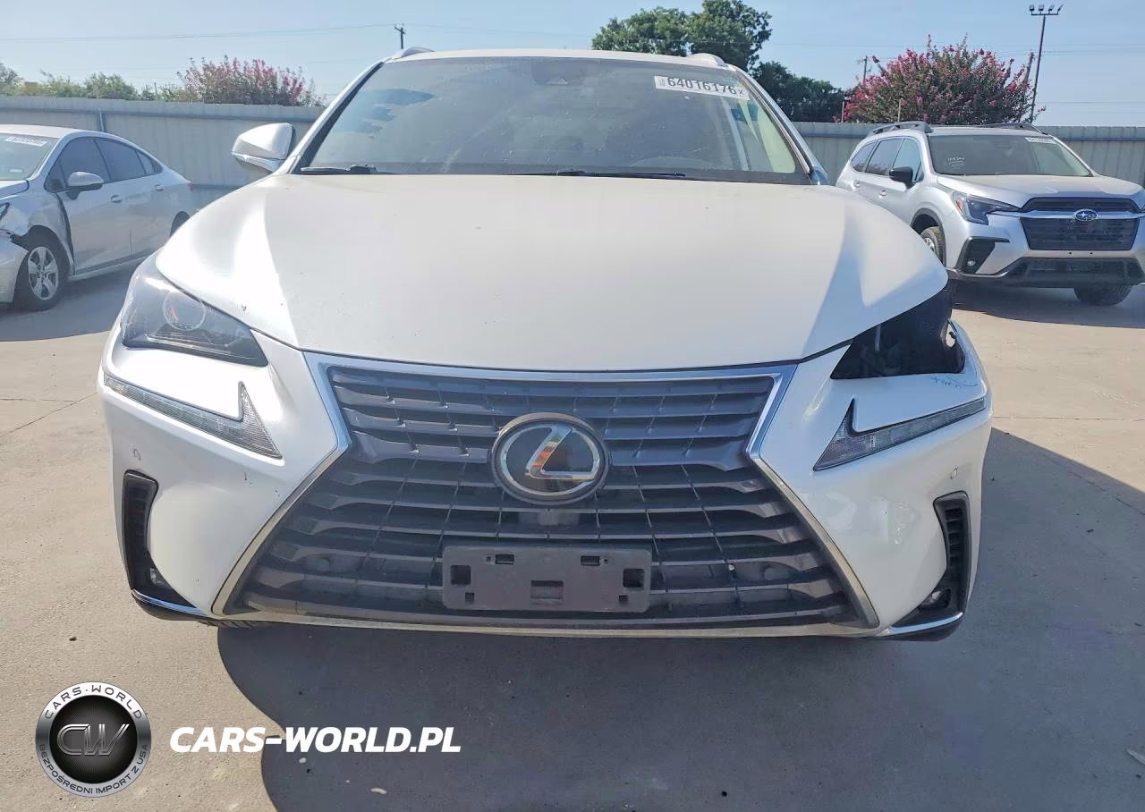 2019 Lexus Nx 300 Base VIN:JTJYARBZ5K2131462 - 5