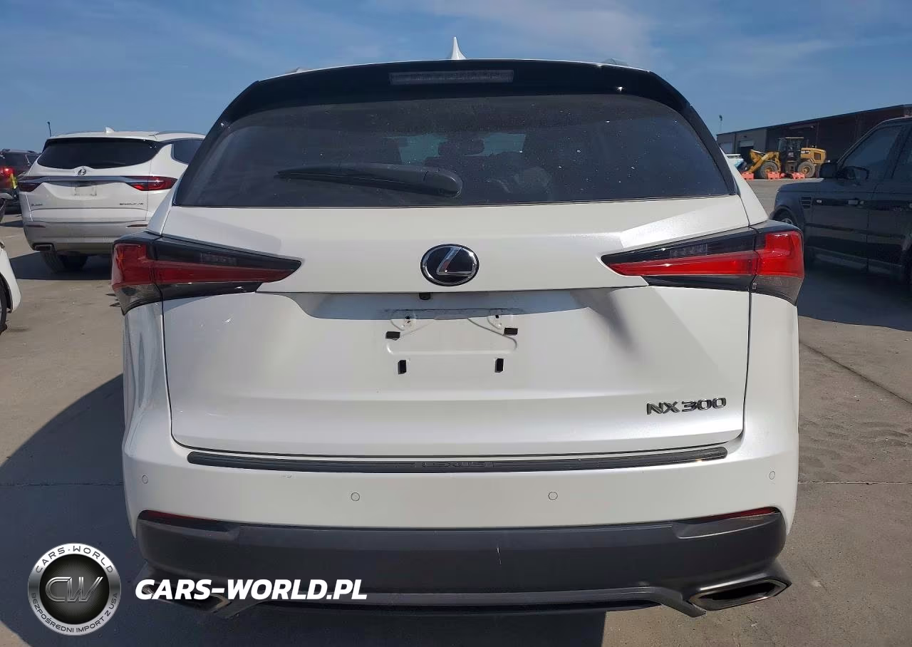 2019 Lexus Nx 300 Base VIN:JTJYARBZ5K2131462 - 6