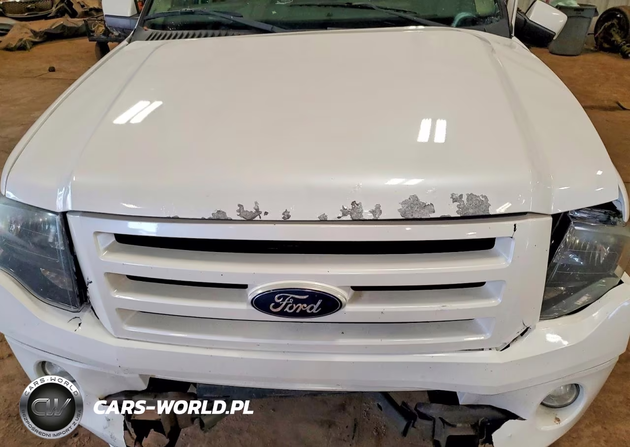 2010 Ford Expedition El Limited VIN:1FMJK2A52AEA38186 - 11