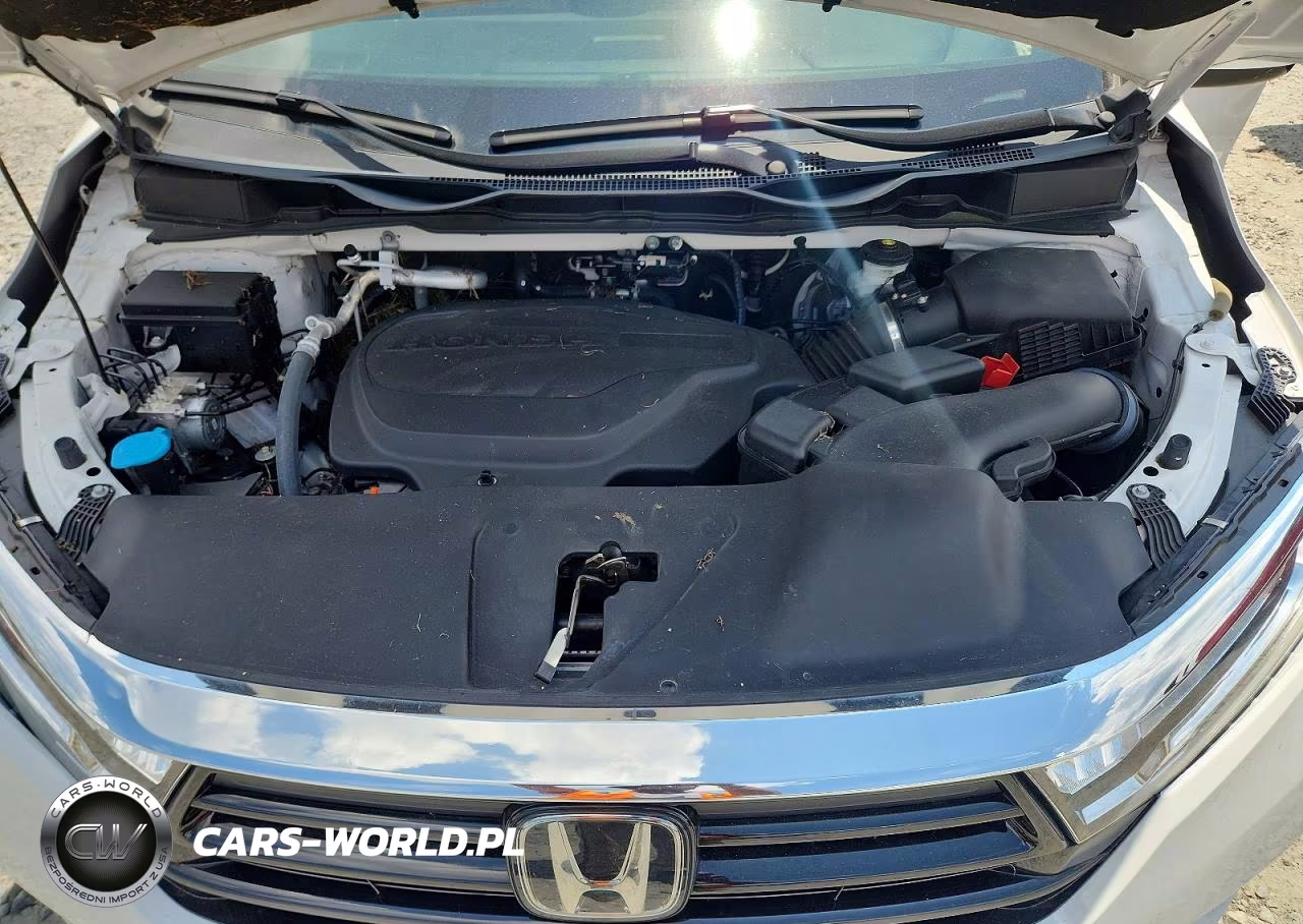 2024 Honda Odyssey Elite VIN:5FNRL6H96RB005934 - 12
