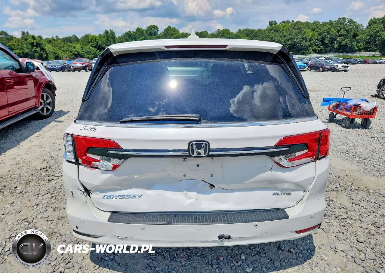 2024 Honda Odyssey Elite VIN:5FNRL6H96RB005934 - 6