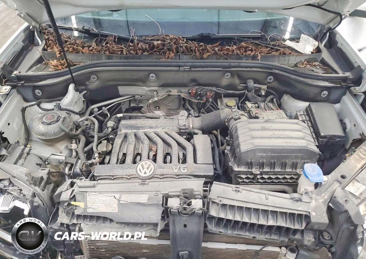 2019 Volkswagen Atlas Sel VIN:1V2SR2CA3KC597417 - 12