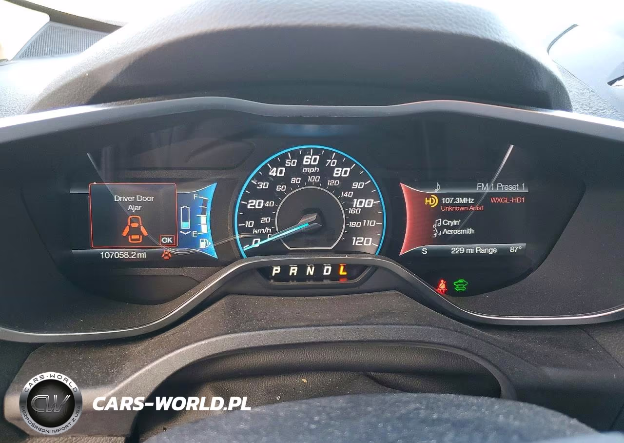 2015 Ford C-Max Premium Sel VIN:1FADP5CU3FL105119 - 9