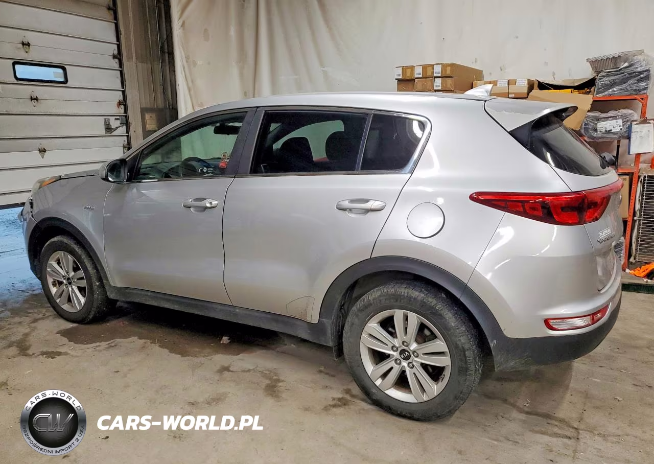 2019 Kia Sportage Lx VIN:KNDPMCAC1K7565512 - 2