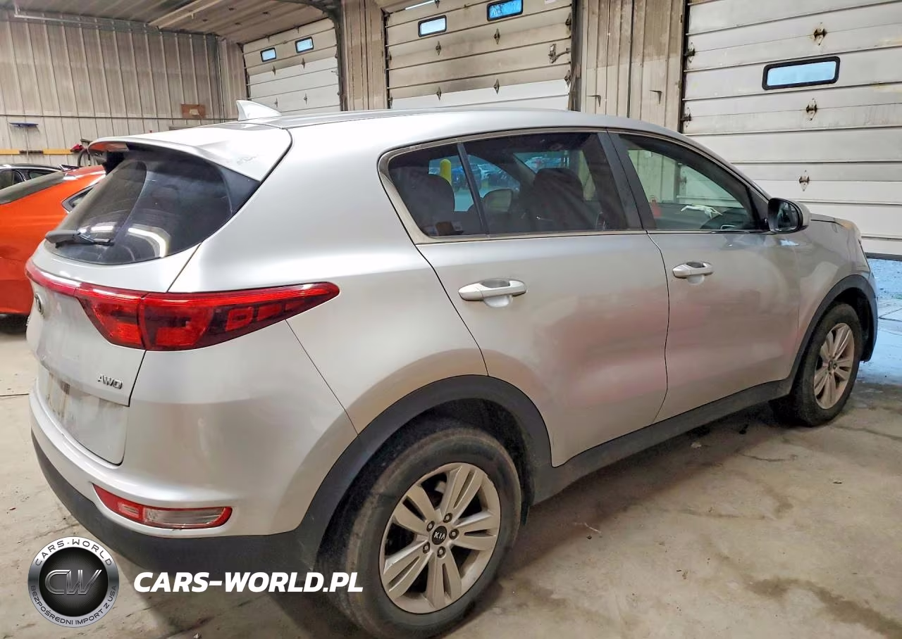 2019 Kia Sportage Lx VIN:KNDPMCAC1K7565512 - 3