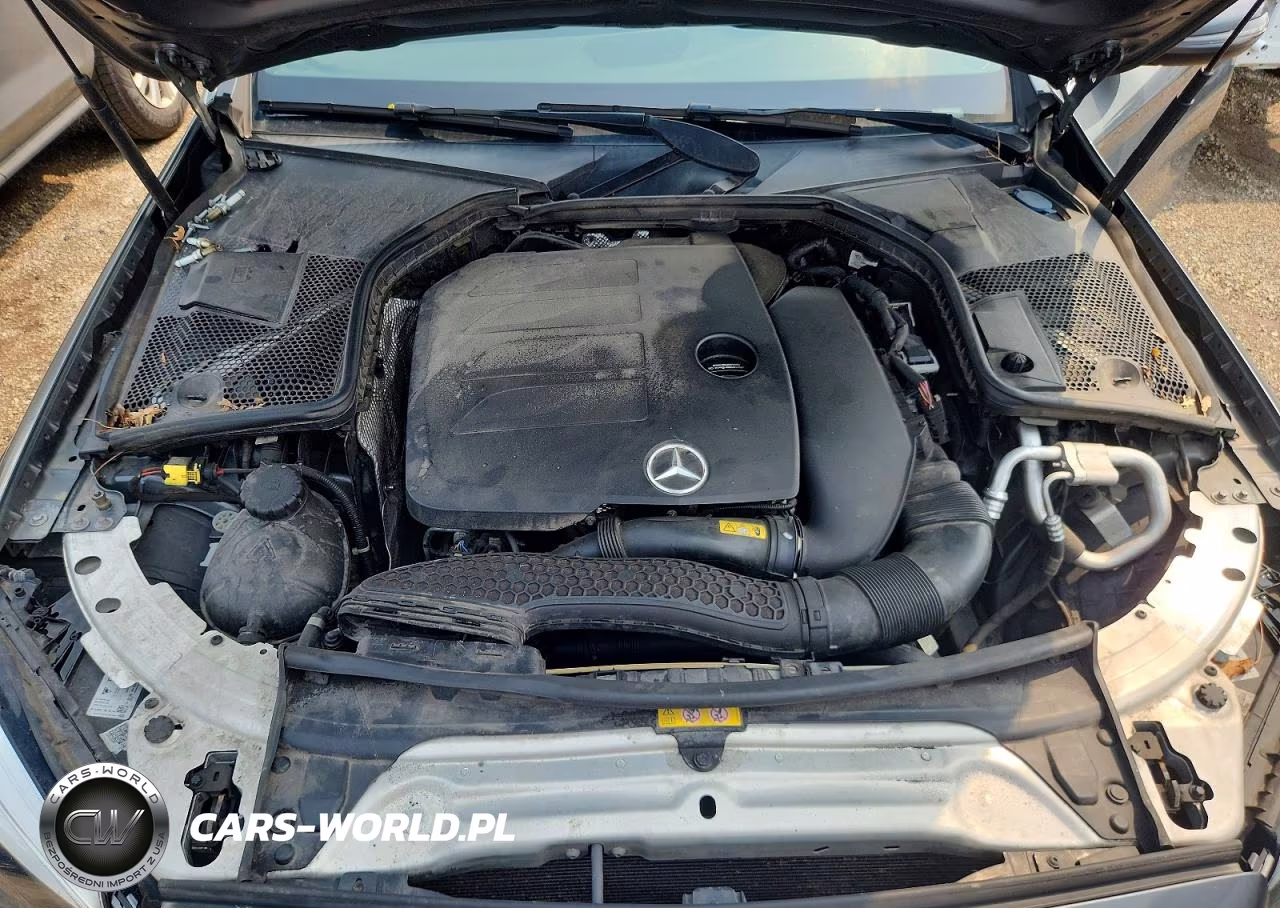 2019 Mercedes-Benz C 300 4Matic VIN:55SWF8EB6KU301974 - 11