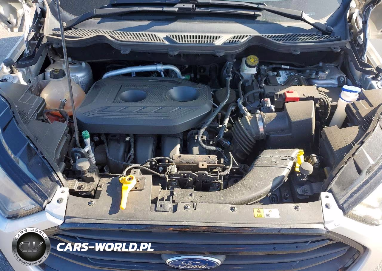 2020 Ford Ecosport Ses VIN:MAJ6S3JL0LC359887 - 12