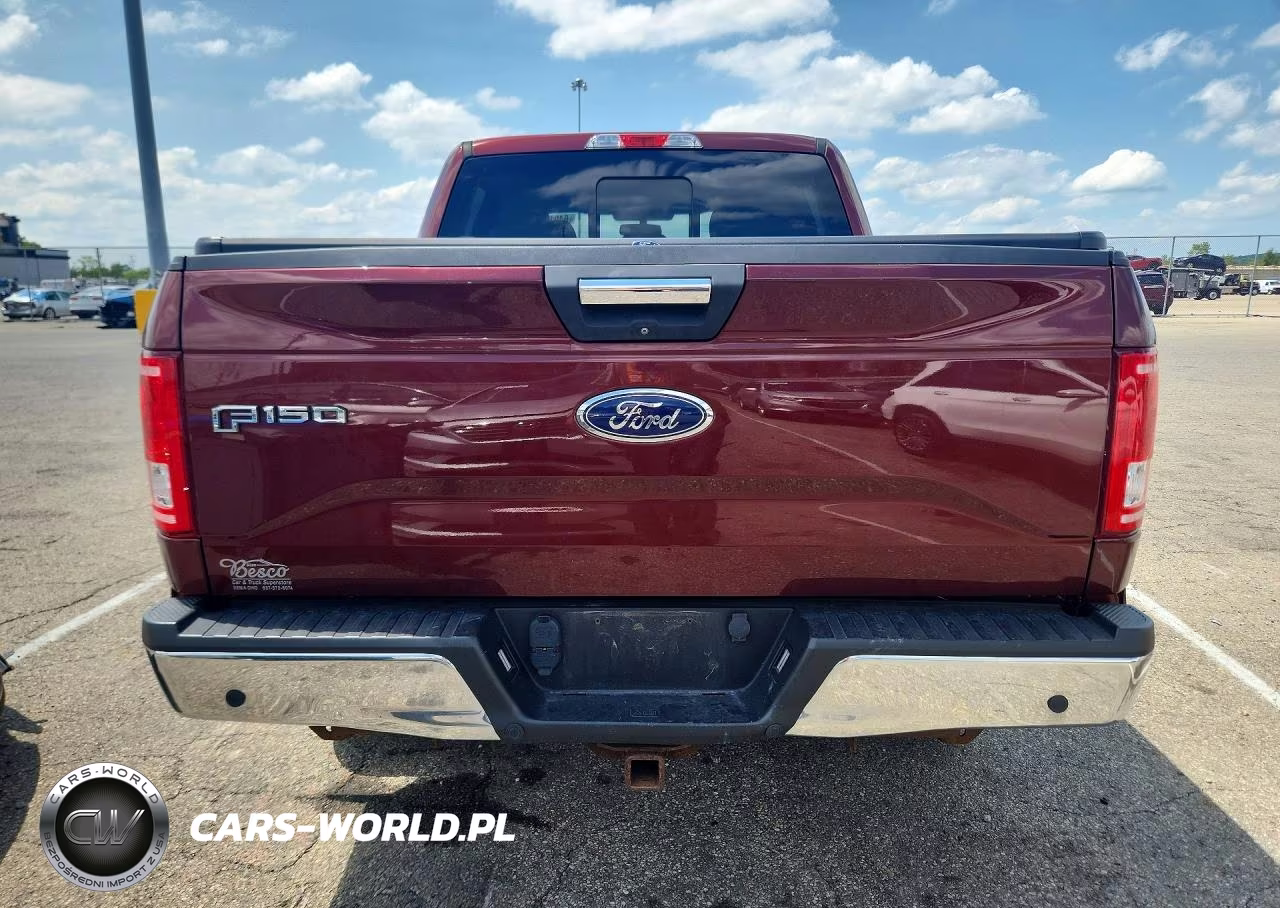 2017 Ford F150 Supercrew VIN:1FTEW1EP1HFA73905 - 6