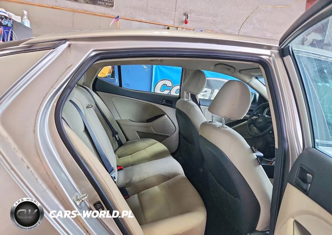 2014 Kia Optima Lx VIN:KNAGM4A77E5463234 - 10