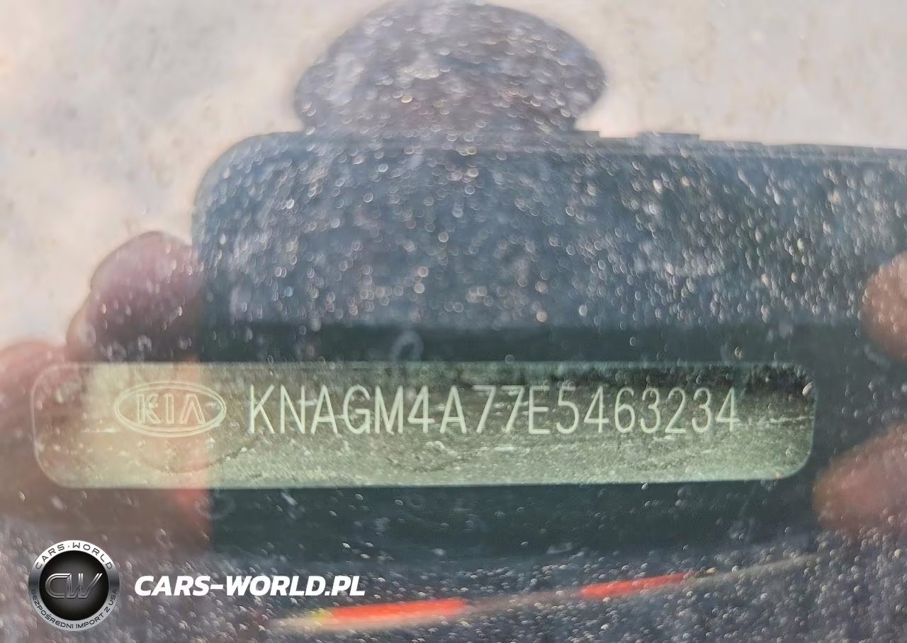 2014 Kia Optima Lx VIN:KNAGM4A77E5463234 - 12