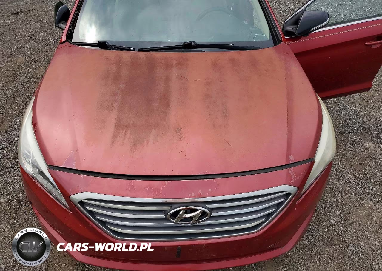2015 Hyundai Sonata Se VIN:5NPE24AF1FH177856 - 11
