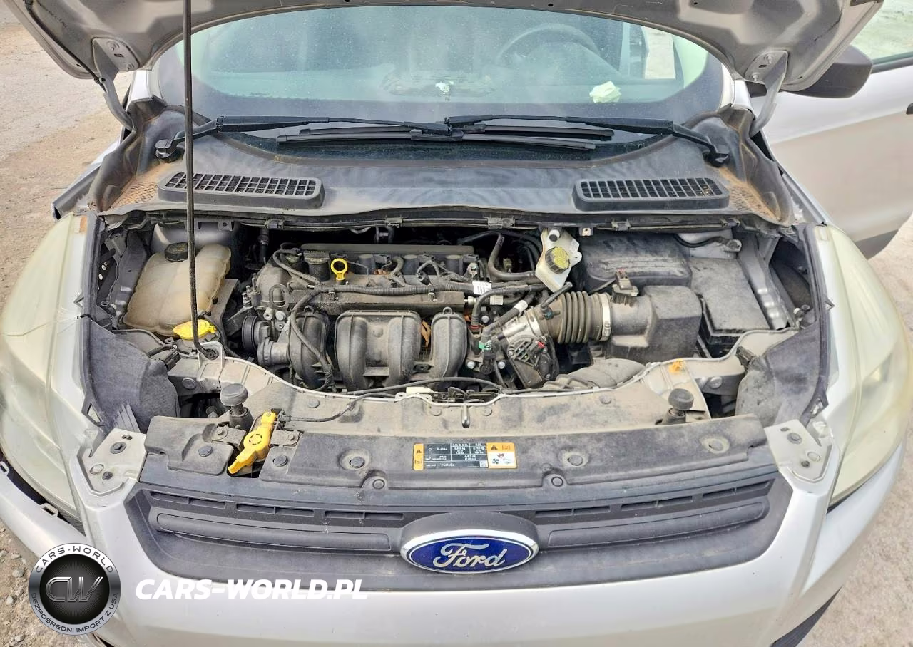2014 Ford Escape S VIN:1FMCU0F70EUE50569 - 12