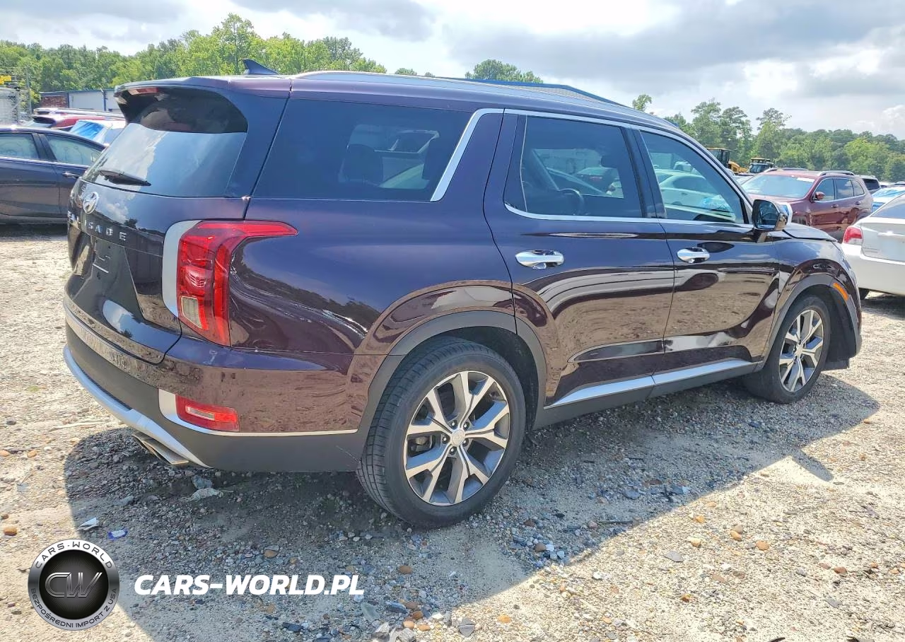 2021 Hyundai Palisade Sel VIN:KM8R44HE0MU282427 - 3