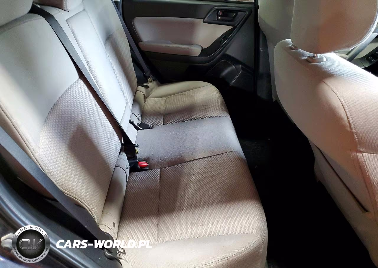 2014 Subaru Forester 2.5I Premium VIN:JF2SJAEC4EH451313 - 10