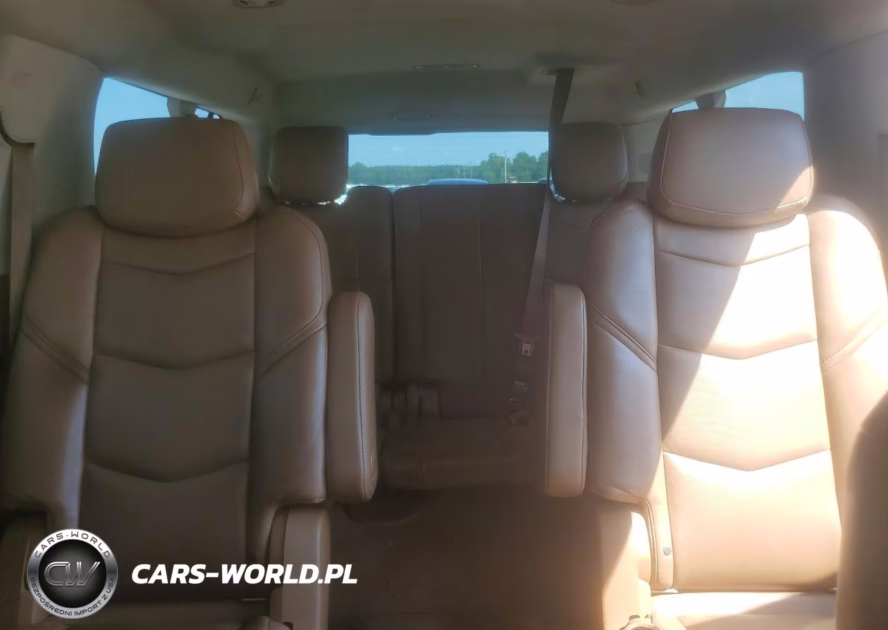 2016 Cadillac Escalade Esv Platinum VIN:1GYS3KKJ5GR454133 - 10