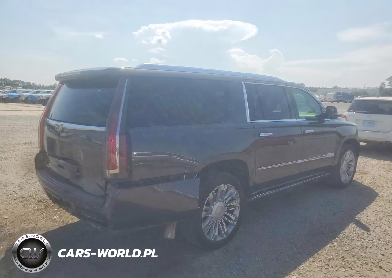 2016 Cadillac Escalade Esv Platinum VIN:1GYS3KKJ5GR454133 - 3