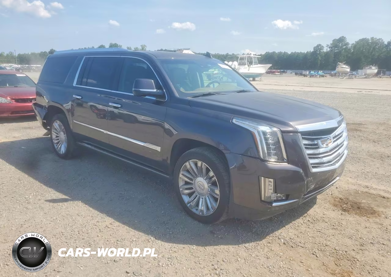 2016 Cadillac Escalade Esv Platinum VIN:1GYS3KKJ5GR454133 - 4