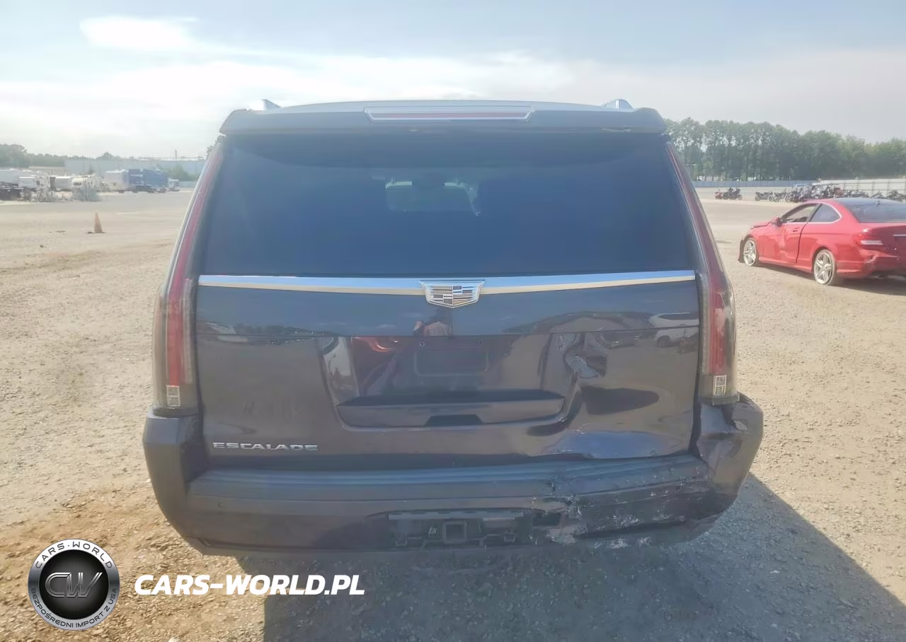 2016 Cadillac Escalade Esv Platinum VIN:1GYS3KKJ5GR454133 - 6