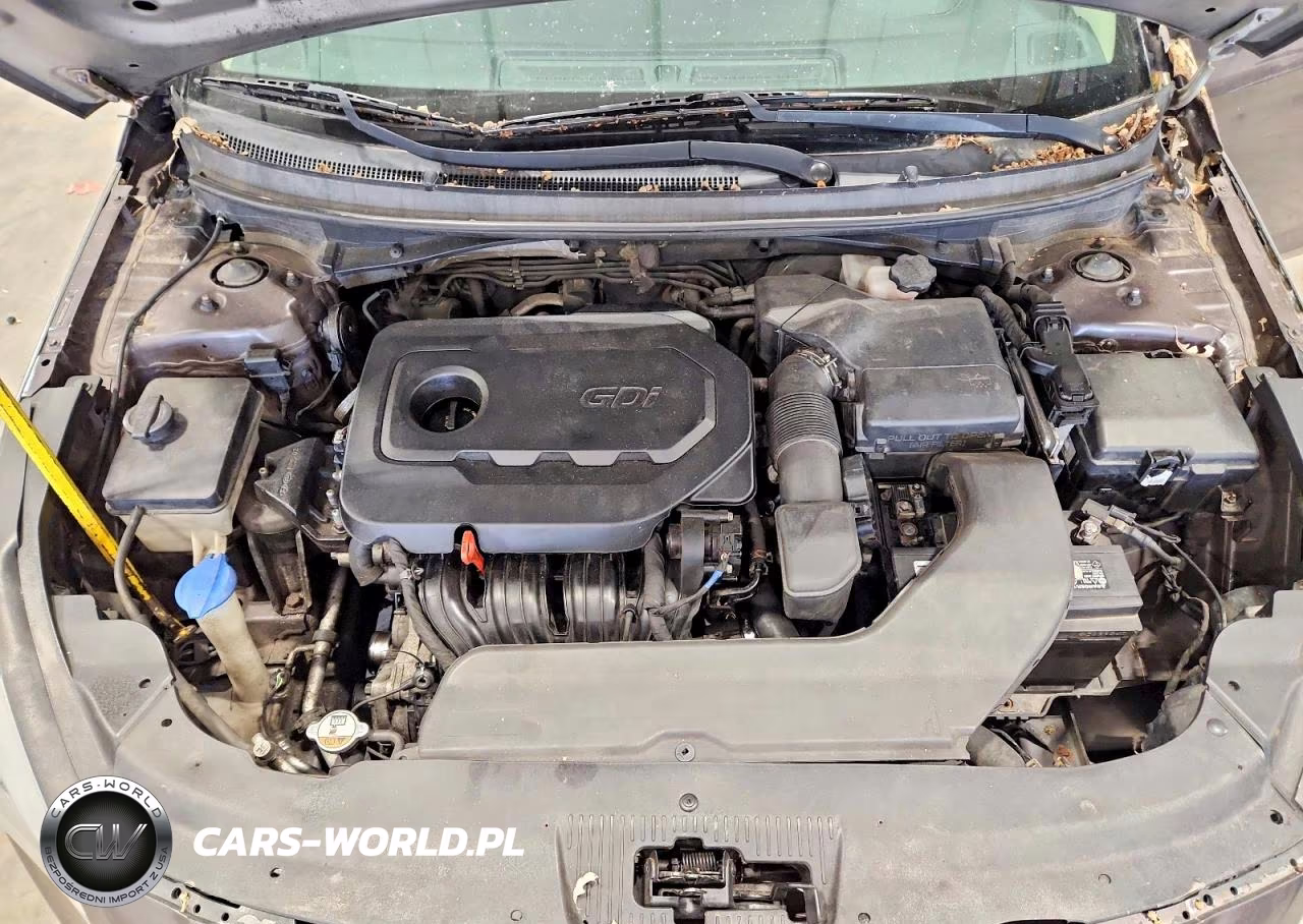 2016 Hyundai Sonata Se VIN:5NPE24AF8GH424274 - 11