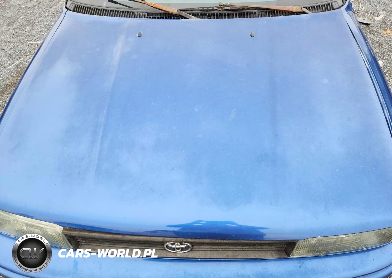 1991 Toyota Corolla Base VIN:2T1AE91AXMC112253 - 11