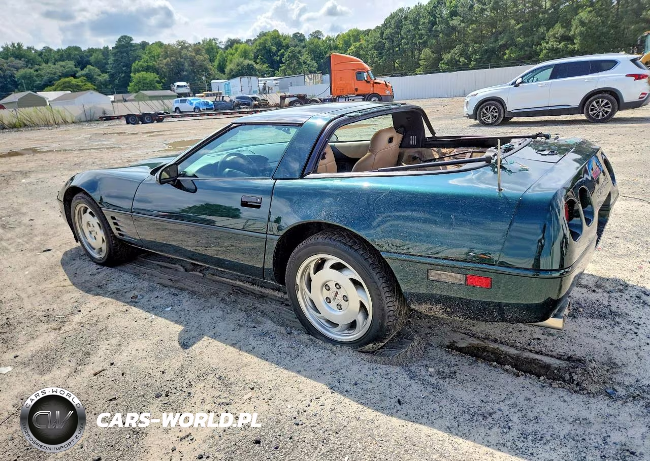 1994 Chevrolet Corvette VIN:1G1YY22P9R5115996 - 2
