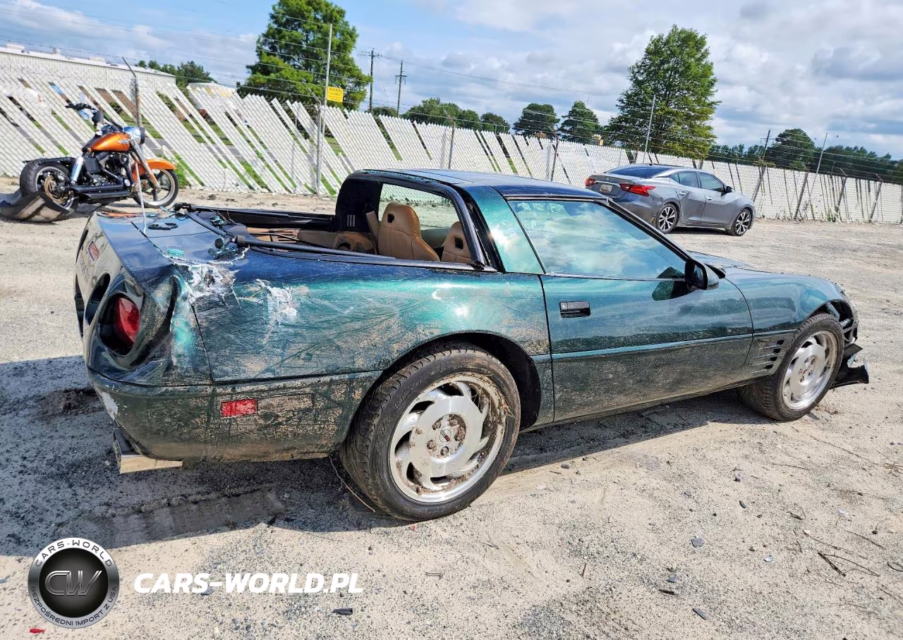 1994 Chevrolet Corvette VIN:1G1YY22P9R5115996 - 3