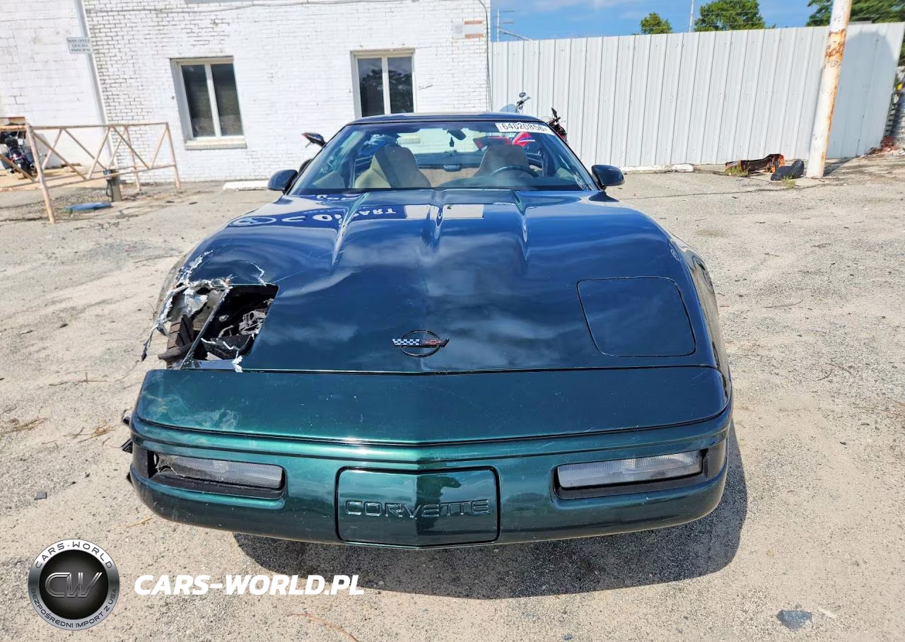 1994 Chevrolet Corvette VIN:1G1YY22P9R5115996 - 5