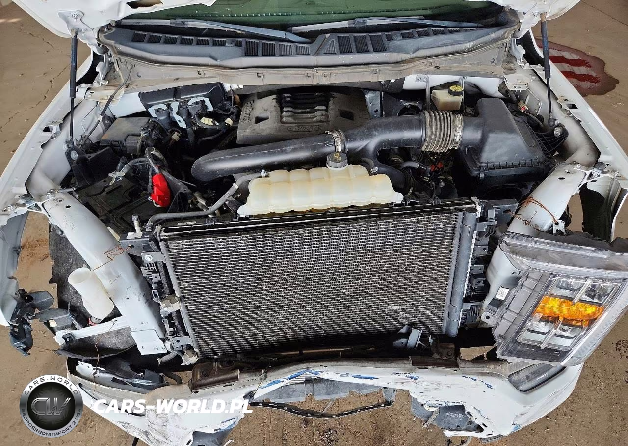 2023 Ford F150 Supercrew VIN:1FTEW1C87PFA18613 - 11