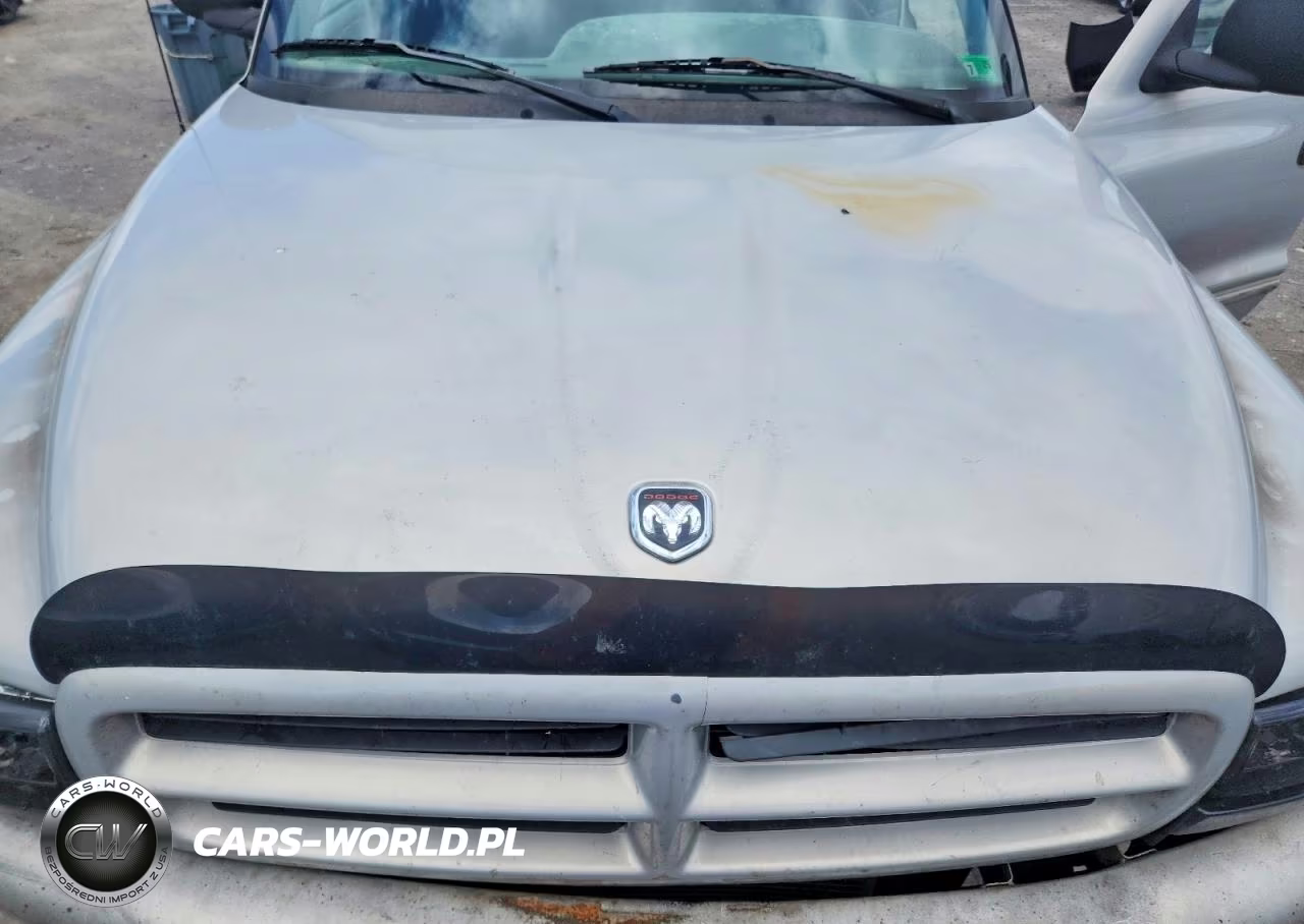 1998 Dodge Durango VIN:1B4HS28Z0WF137034 - 12