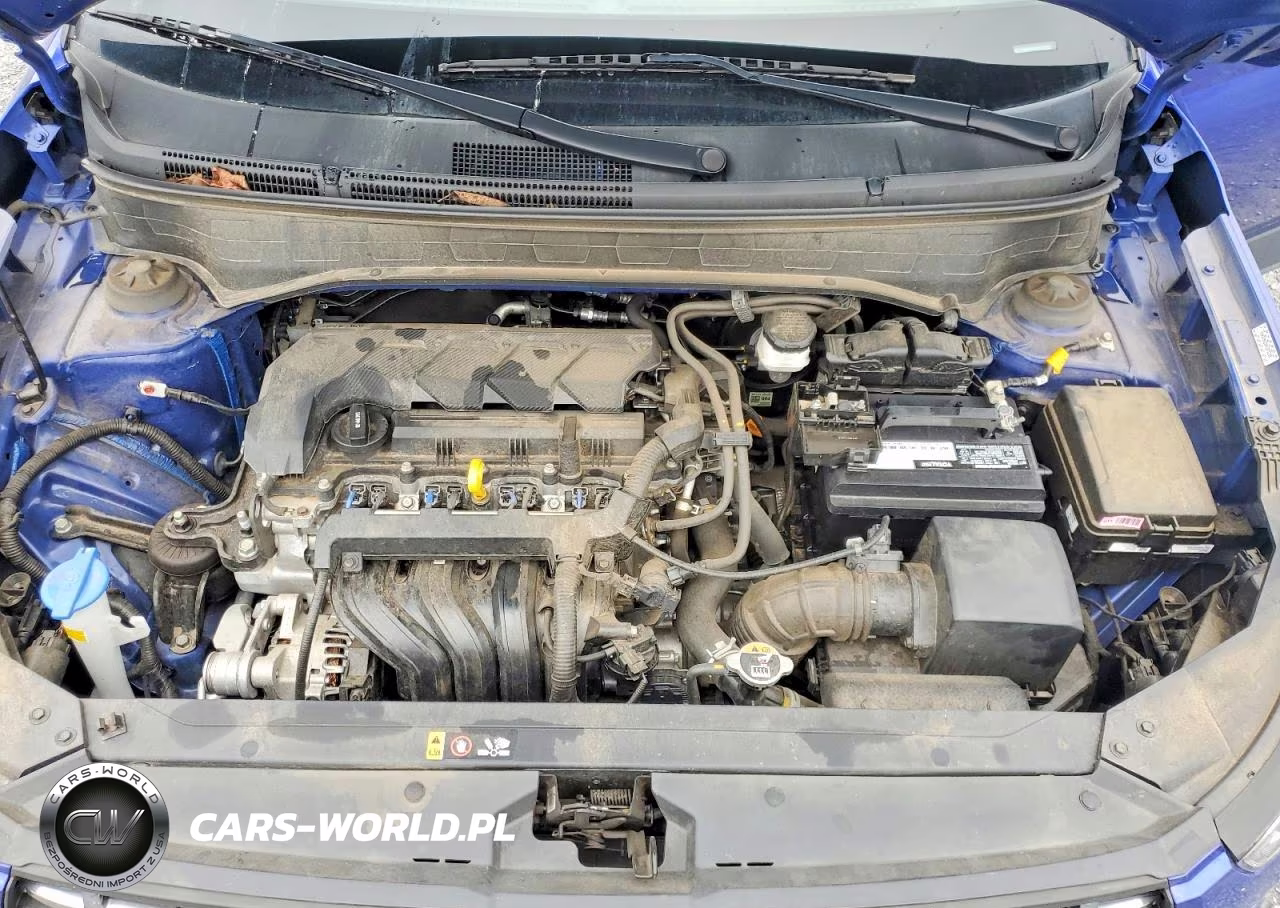 2023 Hyundai Venue Limited VIN:KMHRC8A30PU273220 - 12