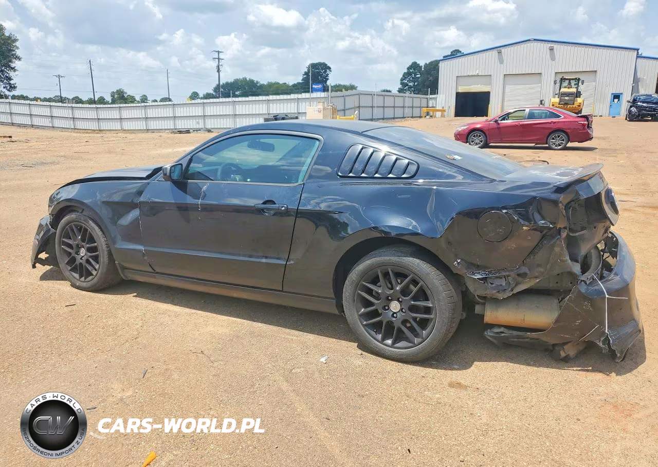 2014 Ford Mustang VIN:1ZVBP8AM3E5309683 - 2